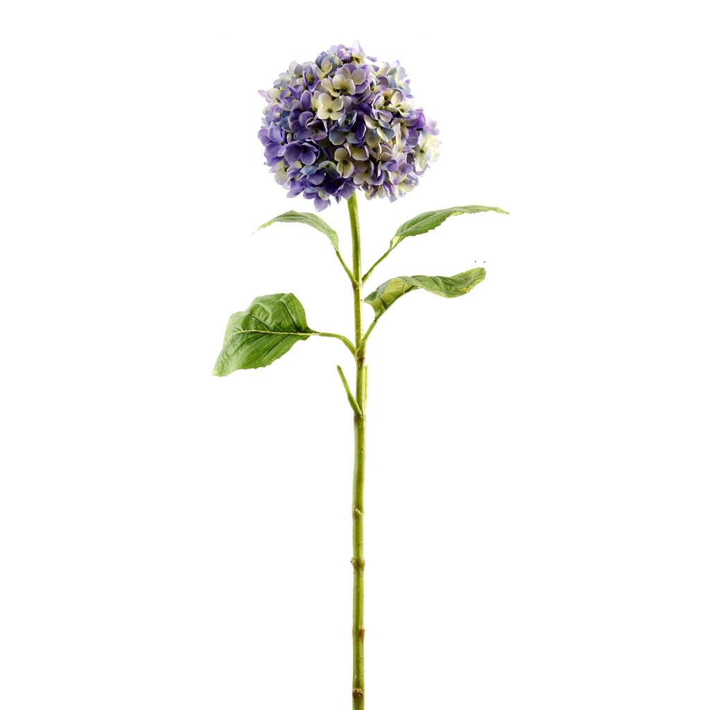 10430291.jpg img